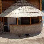 КАМЫШ