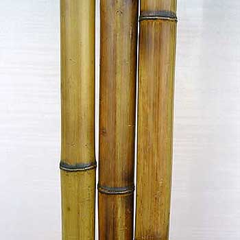 Бамбук стандарт 3-4 см