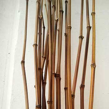 Бамбуковый хлыст удилище