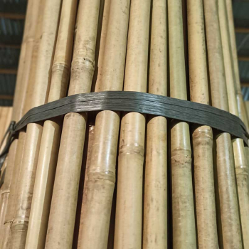 Бамбуковая опора для деревьев