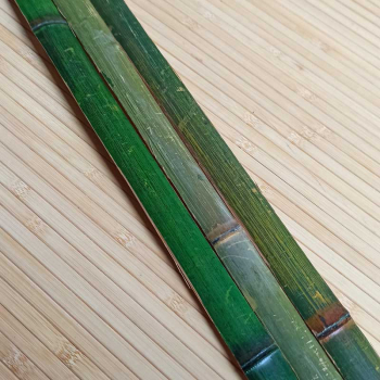 Бамбуковая рейка зелёная купить