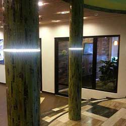 Бамбуковое полотно зелёное фото