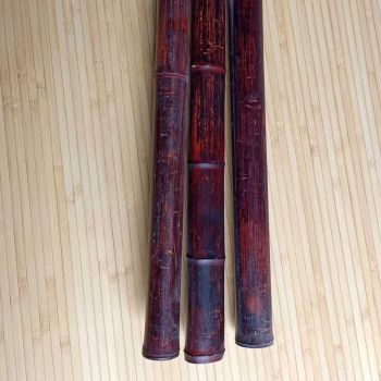 Бамбук махагон 4 - 5 см