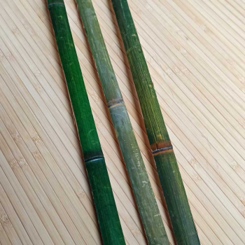 Бамбуковая рейка зелёная фото