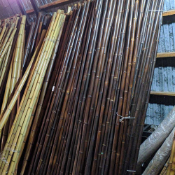Бамбук ствол 3 - 4 см Венге фото
