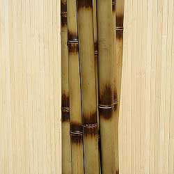 Бамбук ствол  узелковый 4 - 5 см