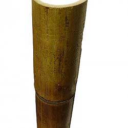 Половинка бамбука стандарт 8 - 9 см