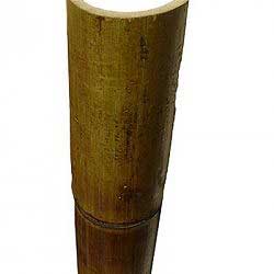 Половинка бамбука стандарт 9 - 10 см
