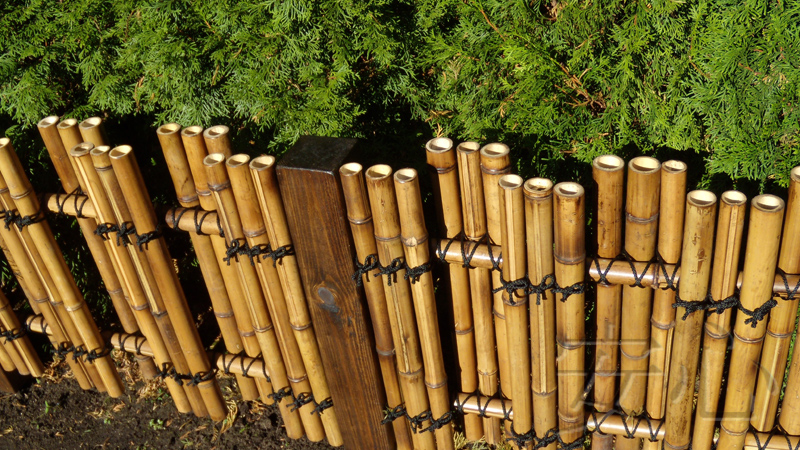 невысокая ограда из бамбука