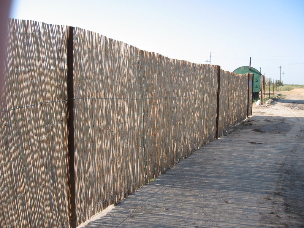 Забор из тростника на пляже